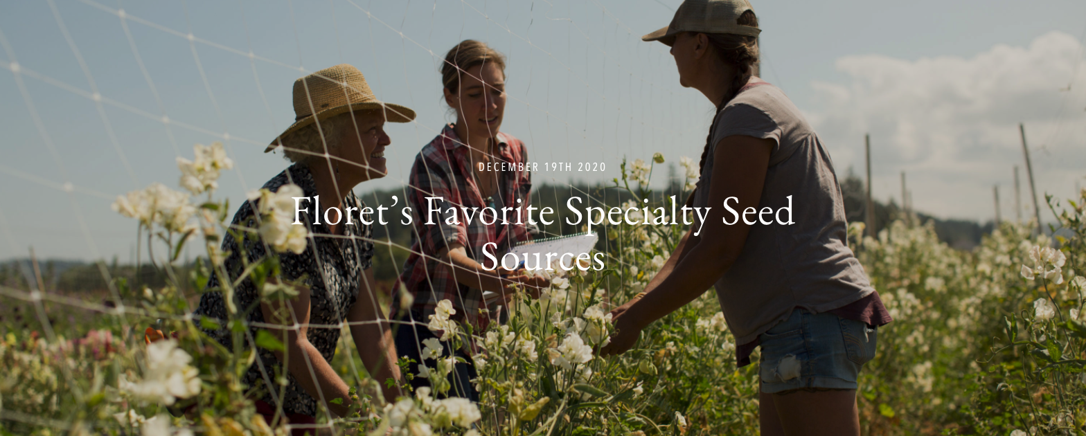 Floret’s Favorite Specialty Seed Sources